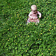Baby In A Field Of Flowers Art Print
