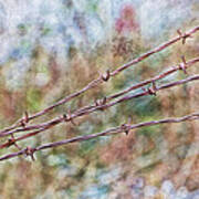Barbed Wire Fence Art Print
