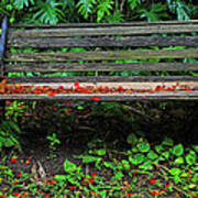 Bench And Flowers- St Lucia. Art Print