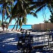 Bikes At Dogs Beach In Key West Art Print