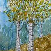 Birch Trees Art Print