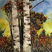 Birches For My Friend Art Print