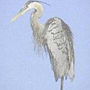 Blue Heron Art Print