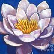 Blue Water Lily Art Print