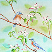 Bluebirds In Dogwood Tree Ii Art Print