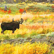 Bull Moose Art Print