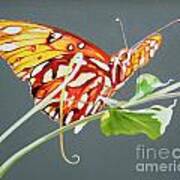 Butterfly On Vine Art Print