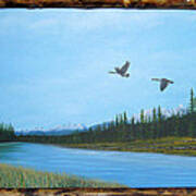 Canadian Geese On The Kootenay Art Print