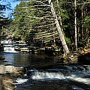 Cascade In The Catskills Art Print