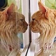 Cat Kiss Symmetry Art Print
