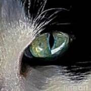 Cat's Eye Art Print