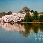 Cherry Blossoms Along The Tidal Basin Eight Art Print
