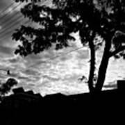 #clouds #ulap #sky #tree #leaves Art Print