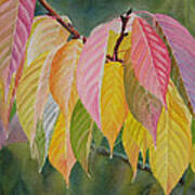 Colorful Fall Leaves Art Print