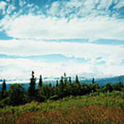 Denali Sleeps Behind Clouds Art Print