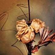 Dried Roses. (from My Wedding Bouquet) Art Print