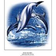 Dusky Dolphin Art Print