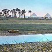 Egypt: Goshen Art Print