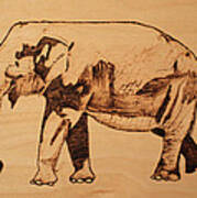 Elephant Pyrograph Art Print