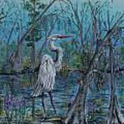 Elusive Swamp Art Print
