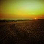 #evening #sunset Over #wheatfield Art Print