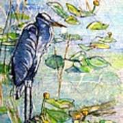 Everglades Heron Art Print