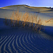 Fading Light Death Valley Art Print