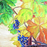 Fall Grapes Art Print