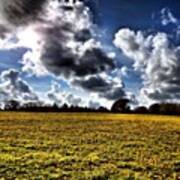 #field Full Of #dandelions #sky #clouds Art Print