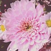 #floweroftheday #flower #flowers #pink Art Print