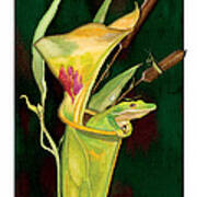 Frog In Green Pitcher Plant Art Print