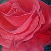 Fuschia Rose Art Print