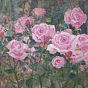 Garden Roses Art Print