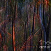 Ghost Trees At Sunset - Abstract Nature Photography Print by Michelle Wrighton