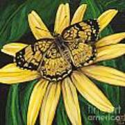 Golden Butterfly Art Print