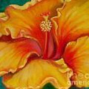 Golden Hibiscus Art Print