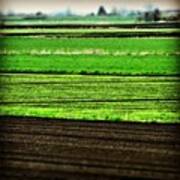 #green #fields #pattern ... #latergram Art Print