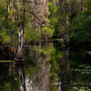 Hillsborough River In March Art Print