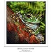 Hispanolian Green Treefrog Art Print