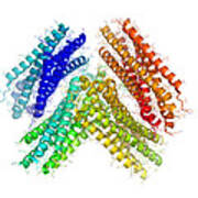 Human Rsv Fusion Core Protein Art Print