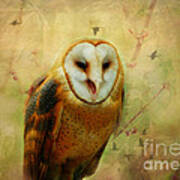 I Will Make You Smile Owl Art Print