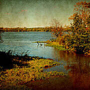 Illinois River Art Print