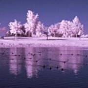 Infrared Photography. Taken With A Art Print