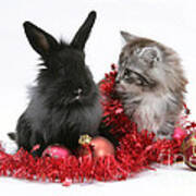 Kitten And Rabbit Getting Into Tinsel Art Print