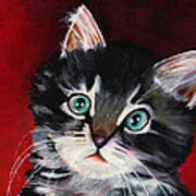 Kitten In Red Art Print