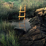 Ladder In Water Hole Art Print