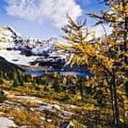 Larch Trees, Lake Mcarthur And Mount Art Print