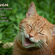 Laugh Cat Art Print