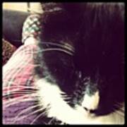 Lazy Day #cat #pajamas #slippers #sofa Art Print