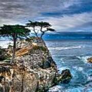 Lone Cypress Morning Art Print